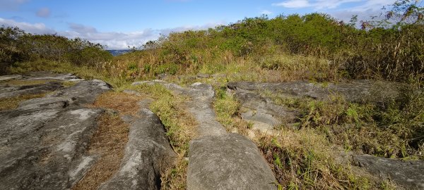 2026/01/01_大安溪峽谷步道2978113