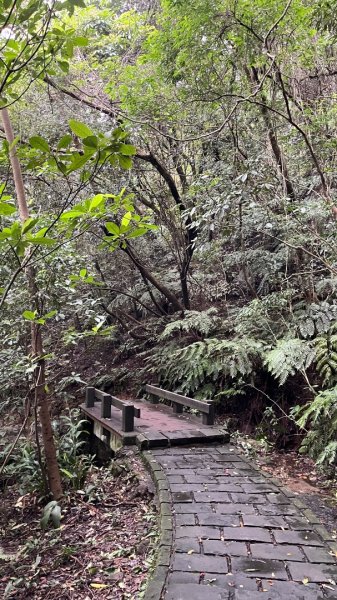 小百岳_大崙頭山2959952