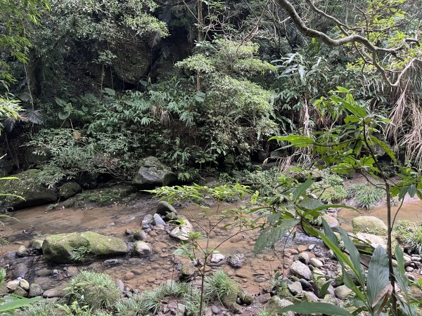 [皮皮獅探險隊-06/10] 2025_0706 四寮溪生態步道2831978