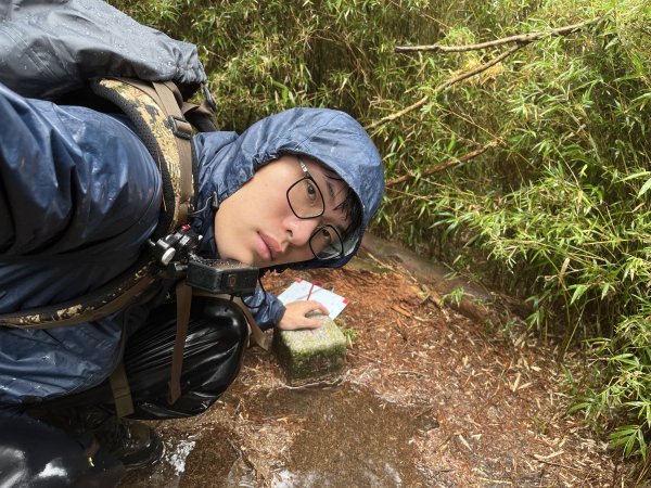 鹿林山-鹿林前山-真鹿林山-石水山-石水山基點峰 2025.5.252798434