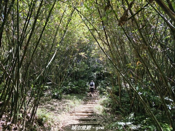 【桃園大溪】溪洲山步道(福山巖登山步道)3057146