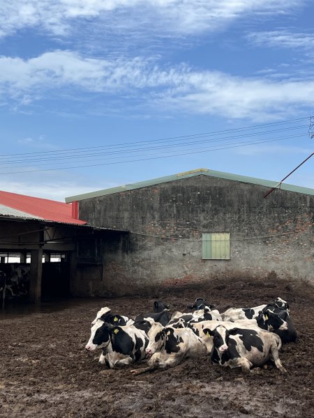 2025/7/26鐵砧山2845965