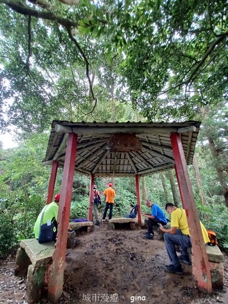 【苗栗獅潭】登頂前的陡坡攀爬很有感。 仙山登山步道2658456