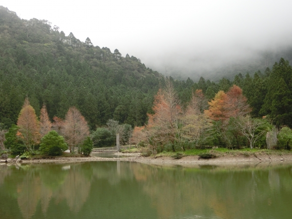 棲蘭山莊．神木園．明池93520