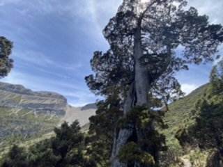 雪山西稜夢幻大景1392682
