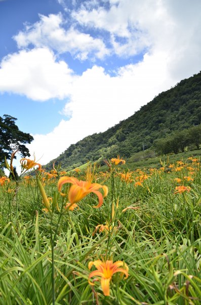 六十石山,赤科山545786