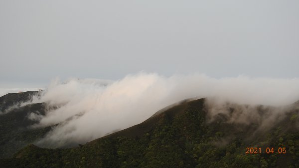0405陽明山再見雲瀑，今年以來最滿意的一次1335457
