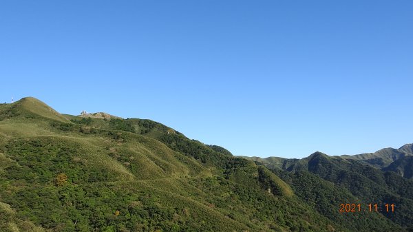 秋高氣爽芒花季再度陽明山天際線-七星山主東峰+大屯山主南西峰向天面天山O型+小觀音山主西南峰共10峰1511052
