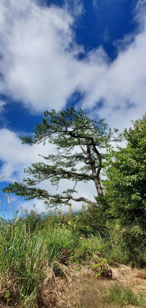 2025國慶連假_南湖群峰7座百岳行2916903