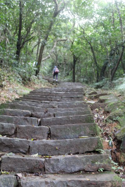 草嶺古道 754373