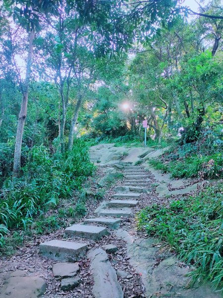 烘爐地登山步道1862886