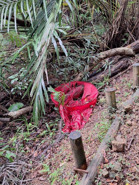 微笑山線：【五分山系】望古瀑布段+平溪小黃山段+慈恩嶺2932582