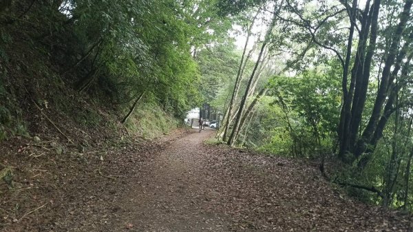 20251010 大雪山國家森林遊樂區 - 船型山林道 登 烏石坑山2911148