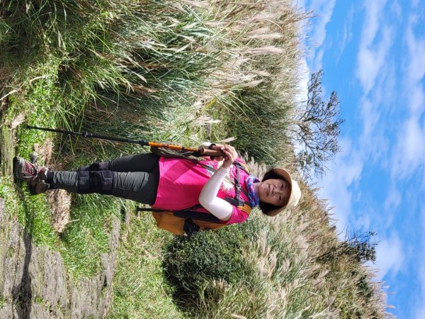 苗圃-七星山主,東峰-大屯山主峰-二子坪-202410262859675