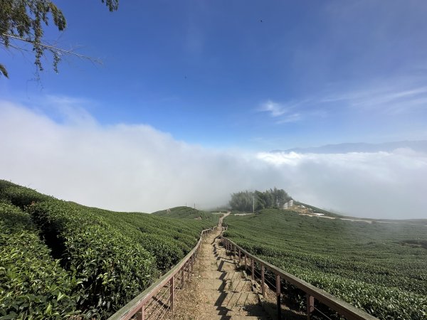 雲嘉十八連峰1932624