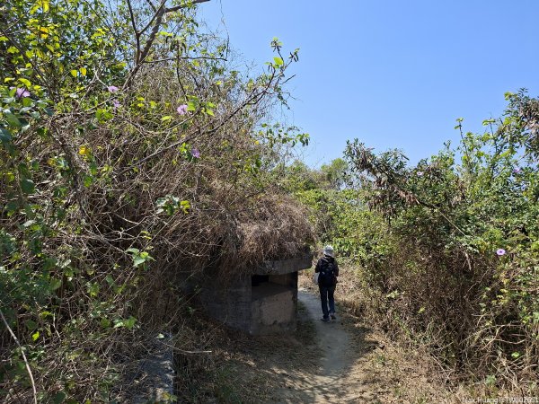 《高雄》泥岩惡地｜漯底山自然公園大O繞順訪永安、茄萣濕地202603133014674