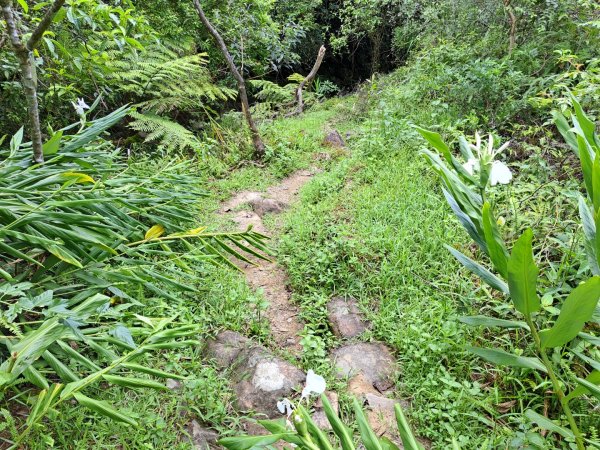 淡蘭中路第四段：威惠廟到灣潭古道登山口3104485