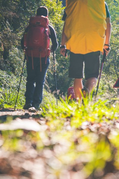 20191004~06-[新竹] 500塊上的大霸尖山1817037