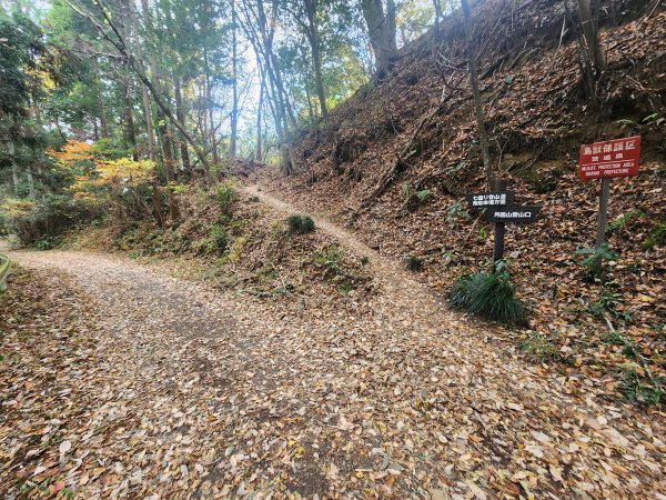 20251125登月居山遊袋田瀑布順遊舊上岡小學校2958365