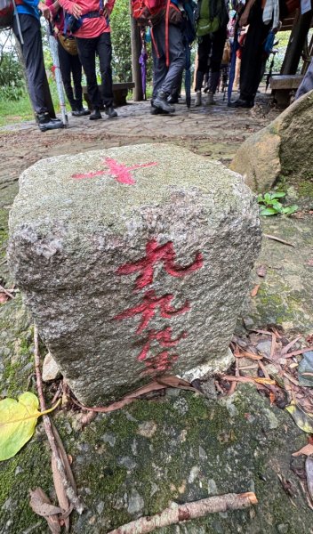 桃園五酒桶步道走南崁山-五酒桶山-山鼻山-獅仔頭山2848119
