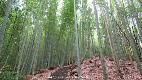 《雲林》望好望角｜石壁山嘉南雲峰步道(中側登山口）202506072805464