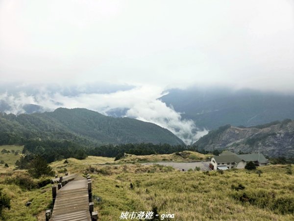 【南投仁愛】合歡東峰步道x合歡石門山步道(賞杜鵑)3052446