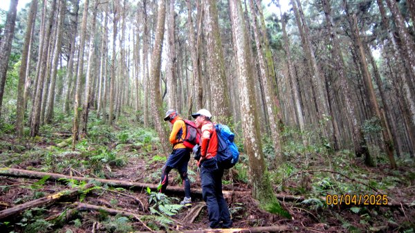 【油羅山/露營】 仙境舒活健走，雲端徜徉野趣！2887916