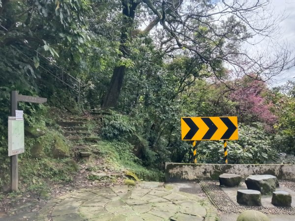 汐止區大尖山櫻花+秀峰瀑布O型3009356