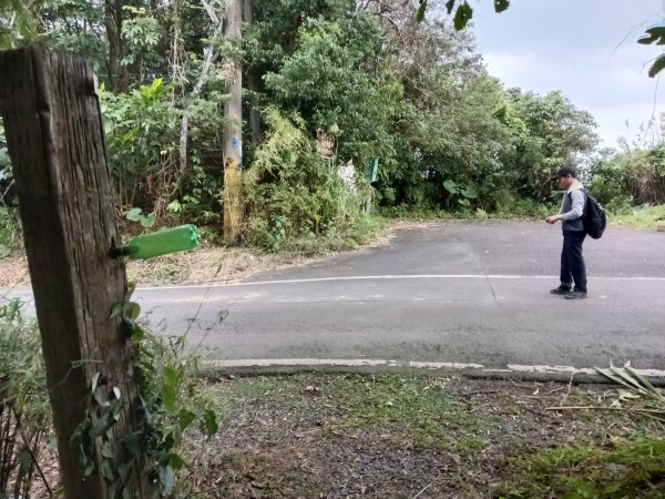 基隆市三層山+湳子大崙+淡基橫斷古道+面桶寮土地公2982257