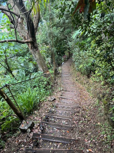 【新北】獅頭山(小獅山)步道2512228