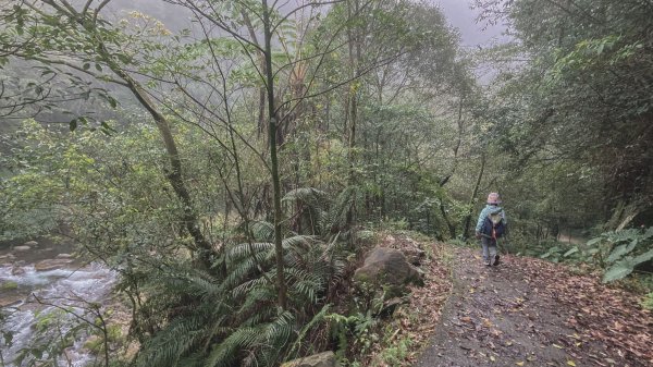 灣潭古道 & 北勢溪古道連走(淡蘭古道中路)2030104