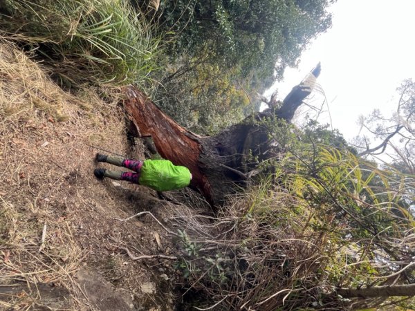 霞喀羅古道-石鹿進-白石駐在所兩天一夜2683890