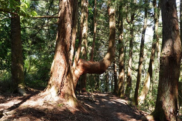 台中 和平 馬崙山2796958