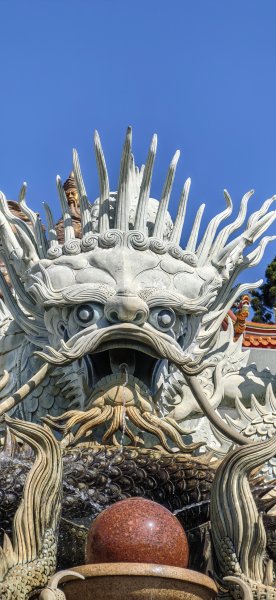 2026-0315 桃園虎頭山3015934