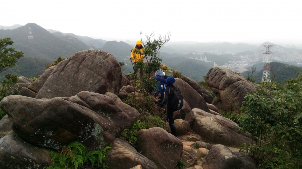 2018.01.30 五指山系小縱走260007