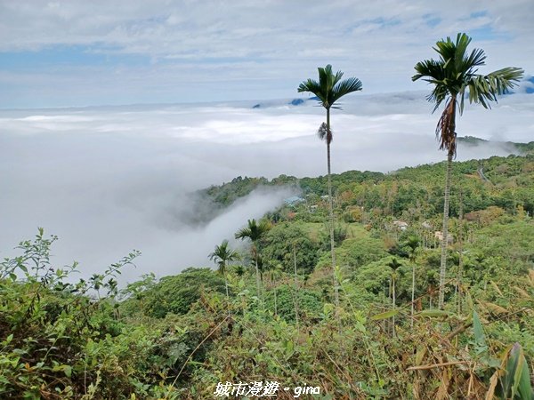 【台南。 楠西】滿滿的雲海太驚豔。 小百岳集起來。 編號67小百岳~竹子尖山步道1605906