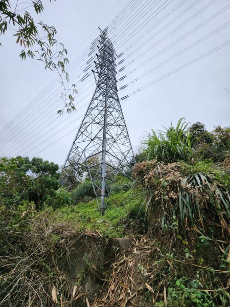 【雲林基石】檨子坑山2048782