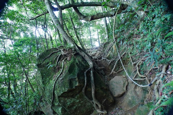 新竹 尖石 內鳥嘴山2899162