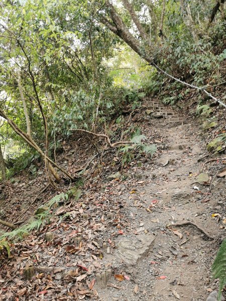 步道巡訪員 l 鳥嘴山步道10月巡訪日誌1139547