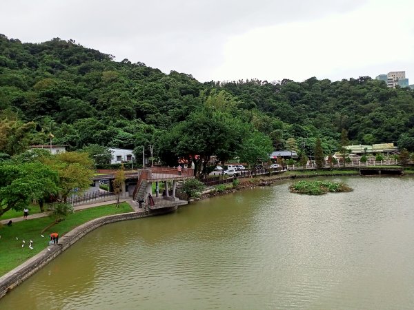 大湖公園 (防災公園)【走路趣尋寶】1899860