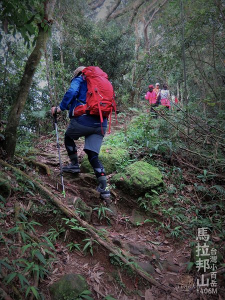 馬那邦山-珠湖登山口攻頂折返 678561