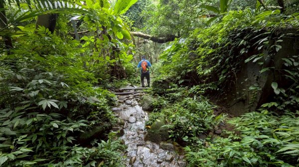 114.06.14雙石縱走&石門水庫-石牛山之旅2812237
