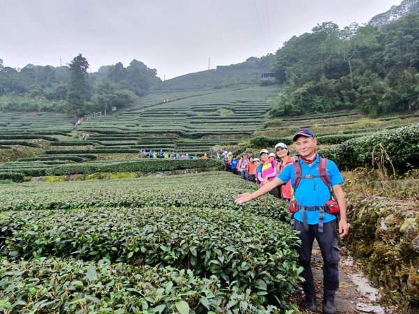 【雲嘉】後棟山連走大二尖山1478488