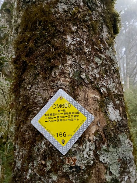 小關山海諾南山3日行--一路的霧淞美景D2  2022/1/121581049