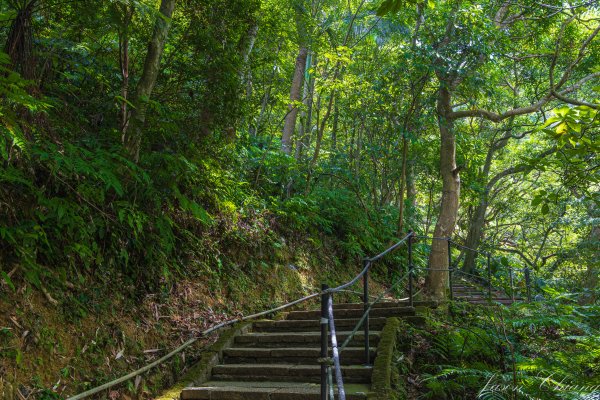[台北]虎山親山步道、九五峰、南港山2911305