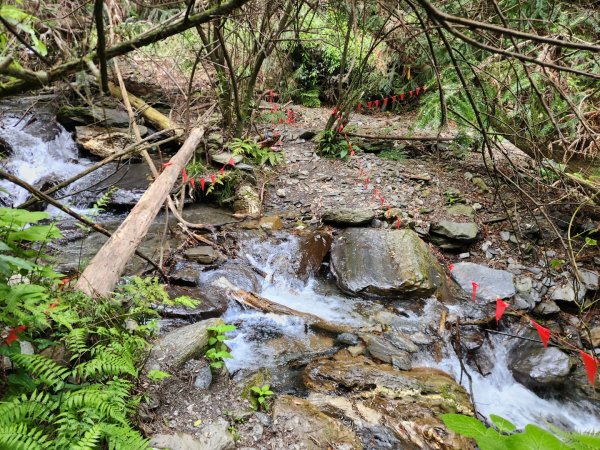 【百岳】志佳陽大山2779733