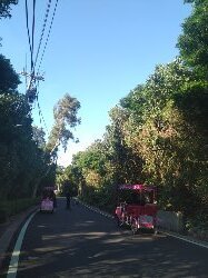 霄裡好風光,運動樂悠遊-永安漁港2814925