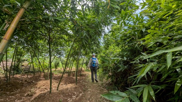 114.06.01溪山百年古圳-太平尾山+聖人崙之旅2801847