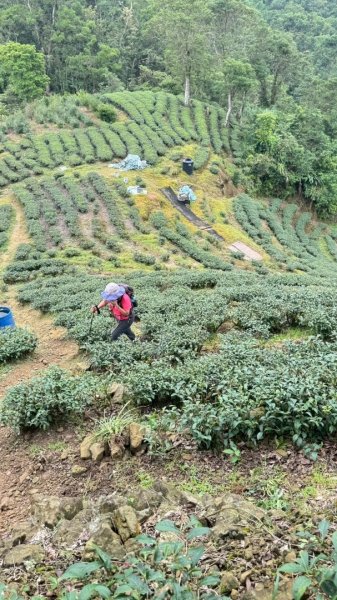 烏窟子山、獵貍尖山、黃櫸皮寮山、翡翠之眼O走2809858