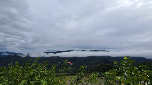 2020-1221 大崎崠登山步道1214935